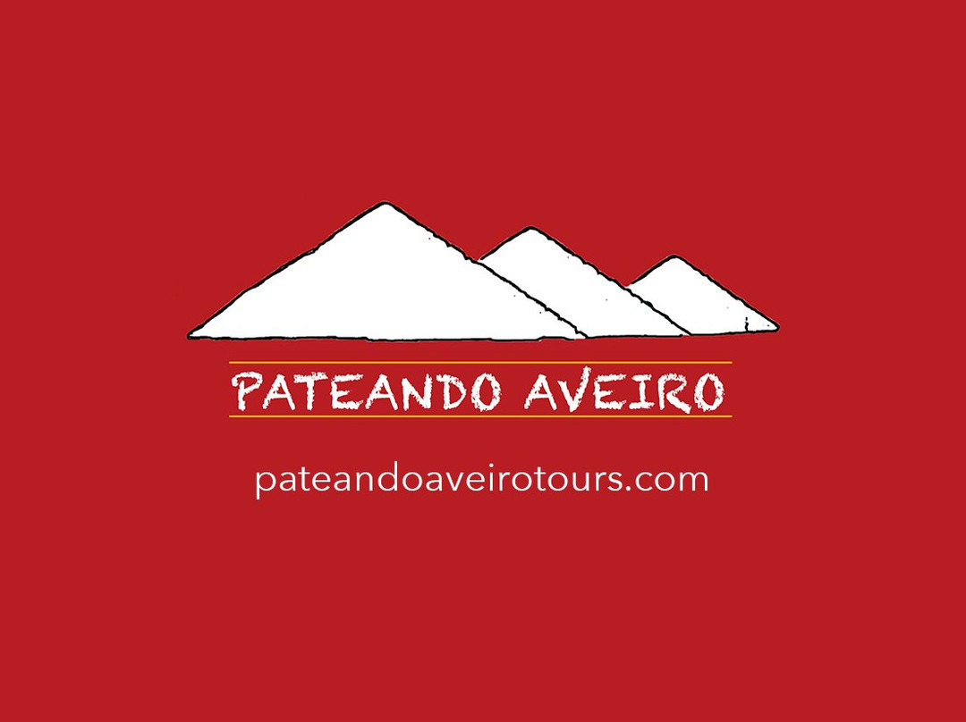 Pateando Aveiro-阿威罗必去景点