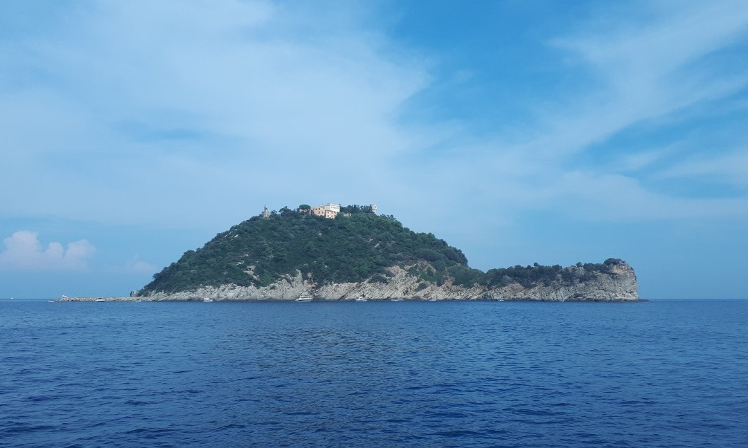 Isola Gallinara Tour e whale watching景点图片