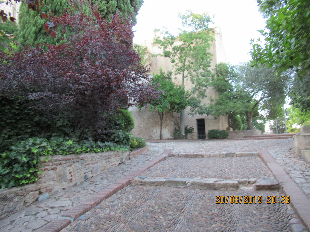 Jardín de la Galera景点图片