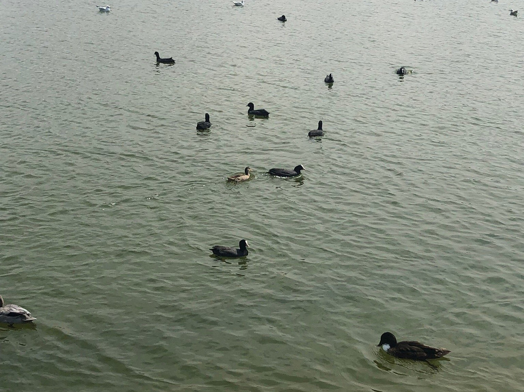 Parque de los Lagos-罗塔必去景点