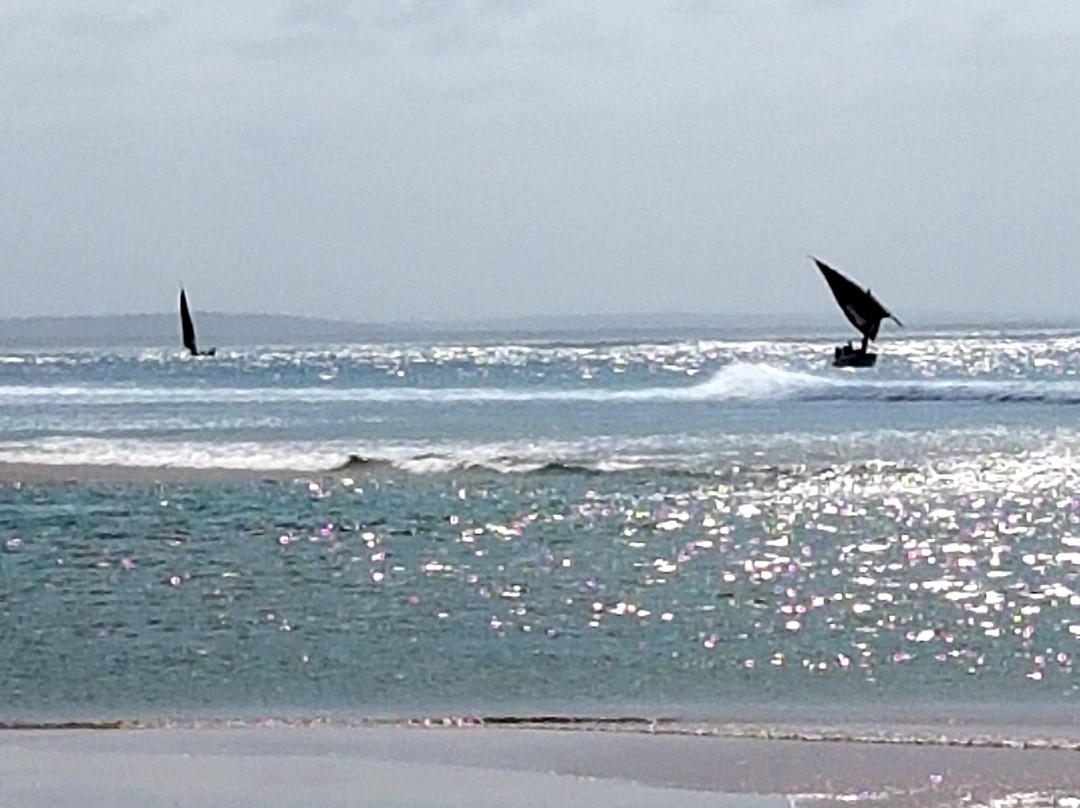 Aquaholics Barra Scuba & Activities-Praia da Barra必去景点