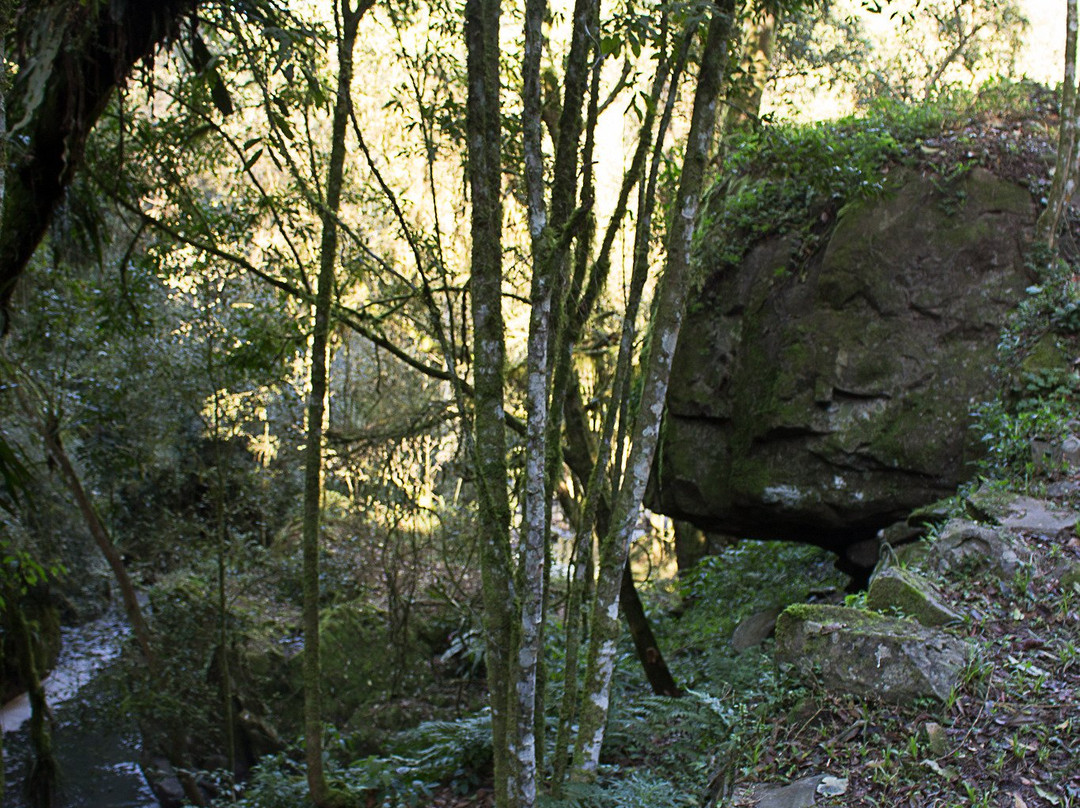 Cachoeira da Linha Feijo-南卡希亚斯必去景点