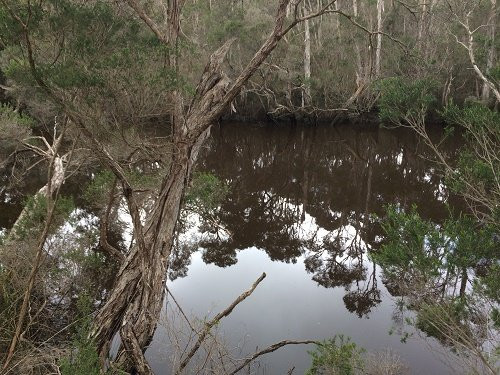 Balcombe Estuary Reserves景点图片