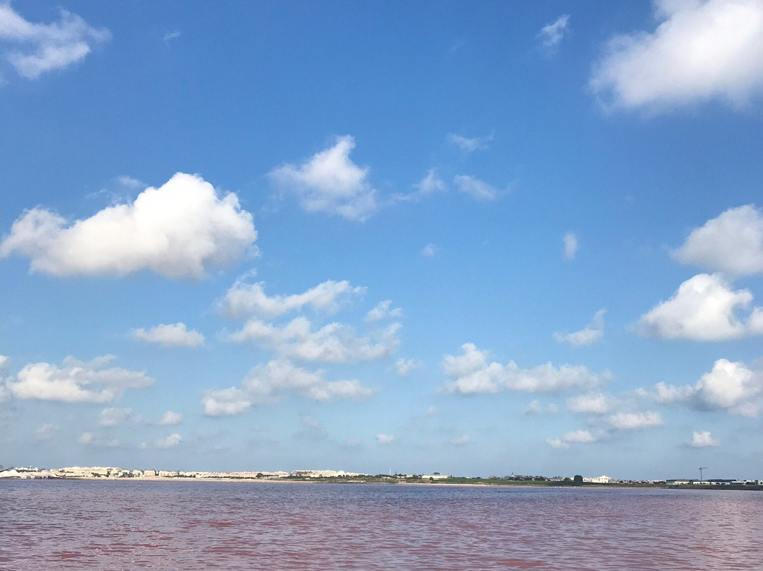 Parque Natural De Las Salinas De Santa Pola景点图片