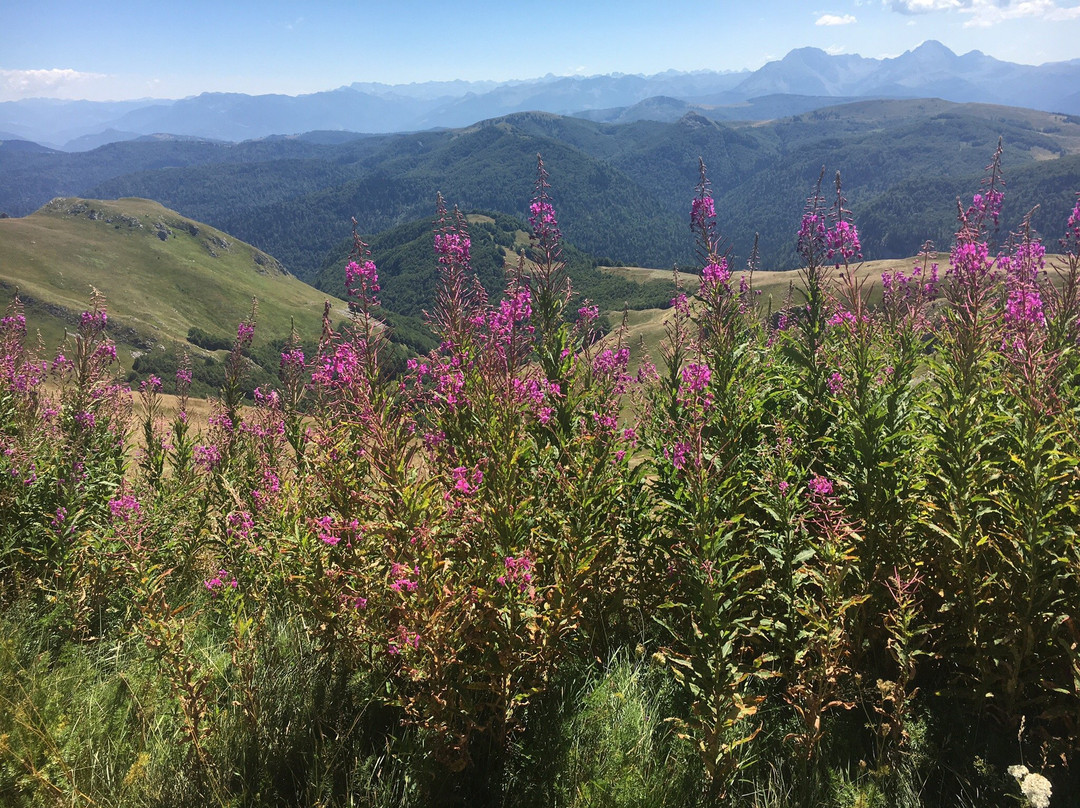 Bjelasica Mountain景点图片