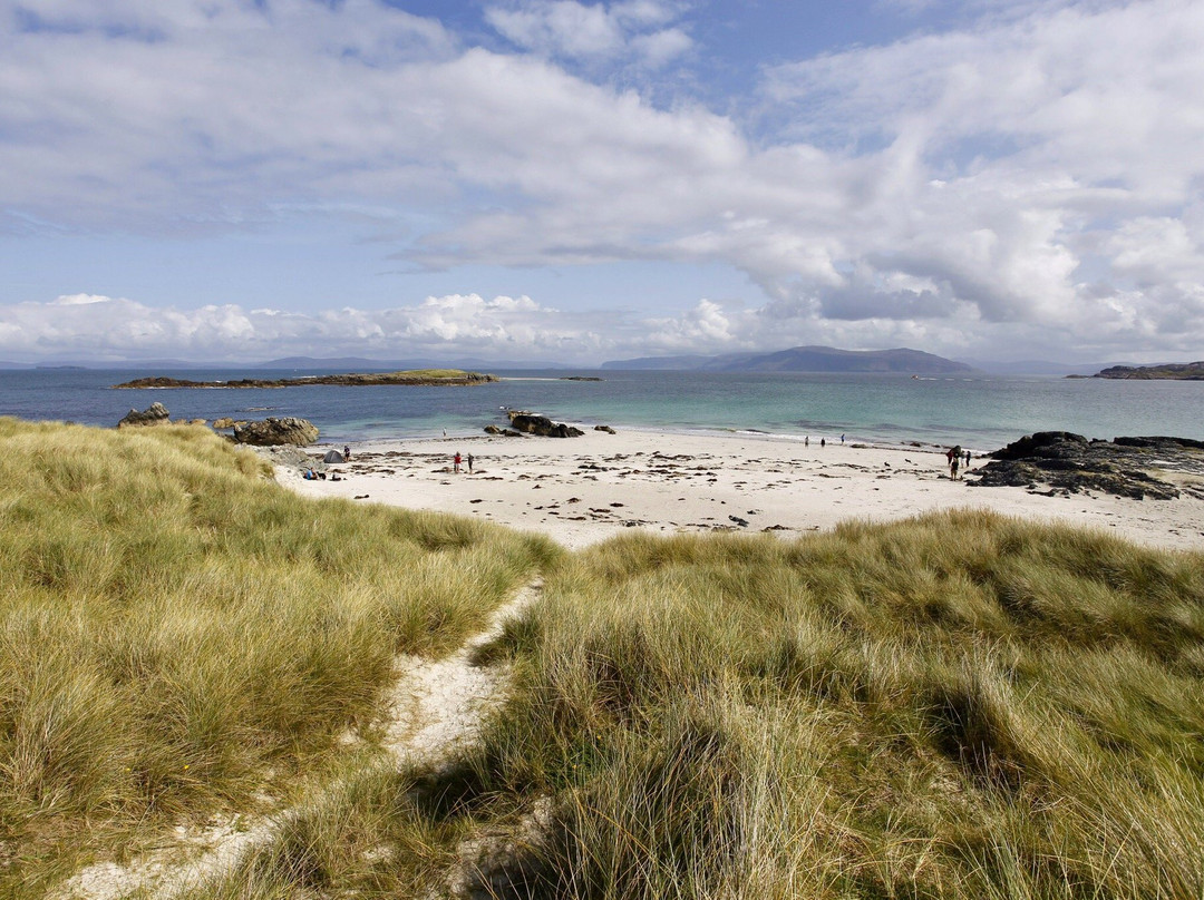 Mull Magic Wildlife - Day Tours-Tobermory必去景点