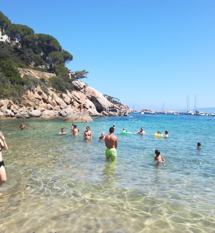 Giglio Island景点图片