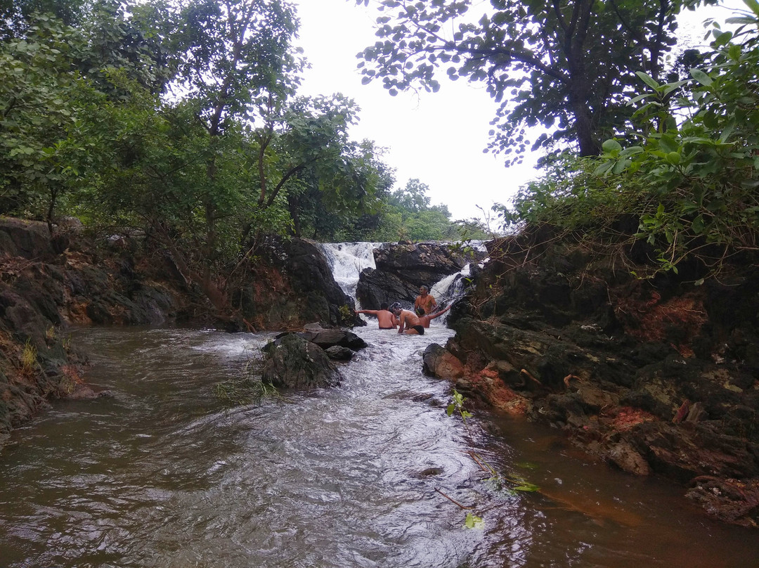 Jambughoda Wildlife Sanctuary景点图片