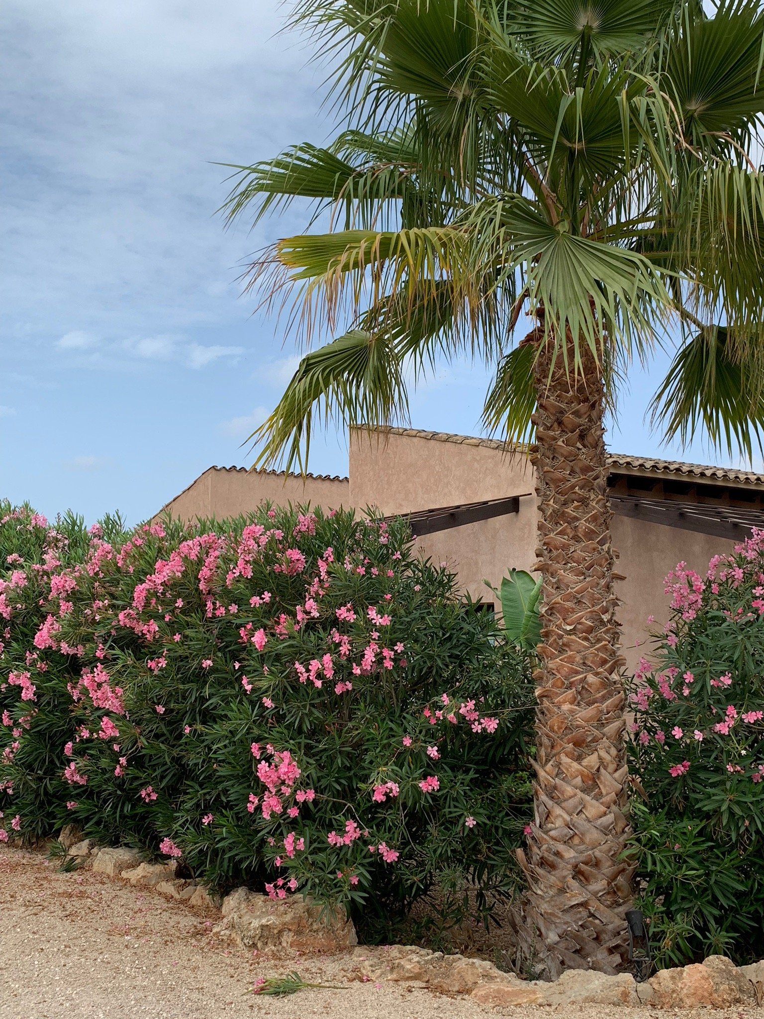 Hotel Es Lloquet - The Secret Place-官方