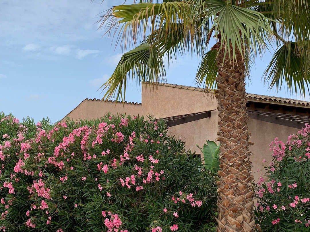 Hotel Es Lloquet - The Secret Place主图