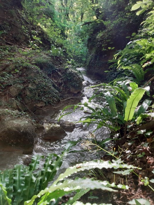 Cascate Le Ferce景点图片