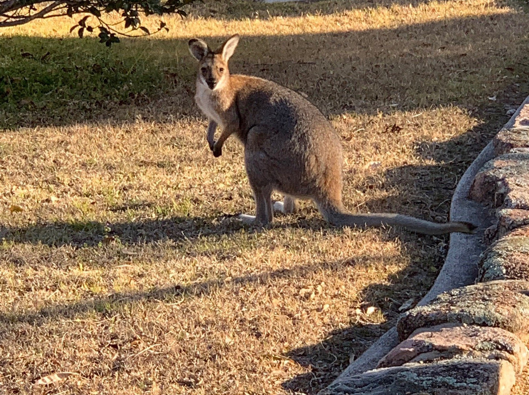 葡萄园咖啡别墅主图