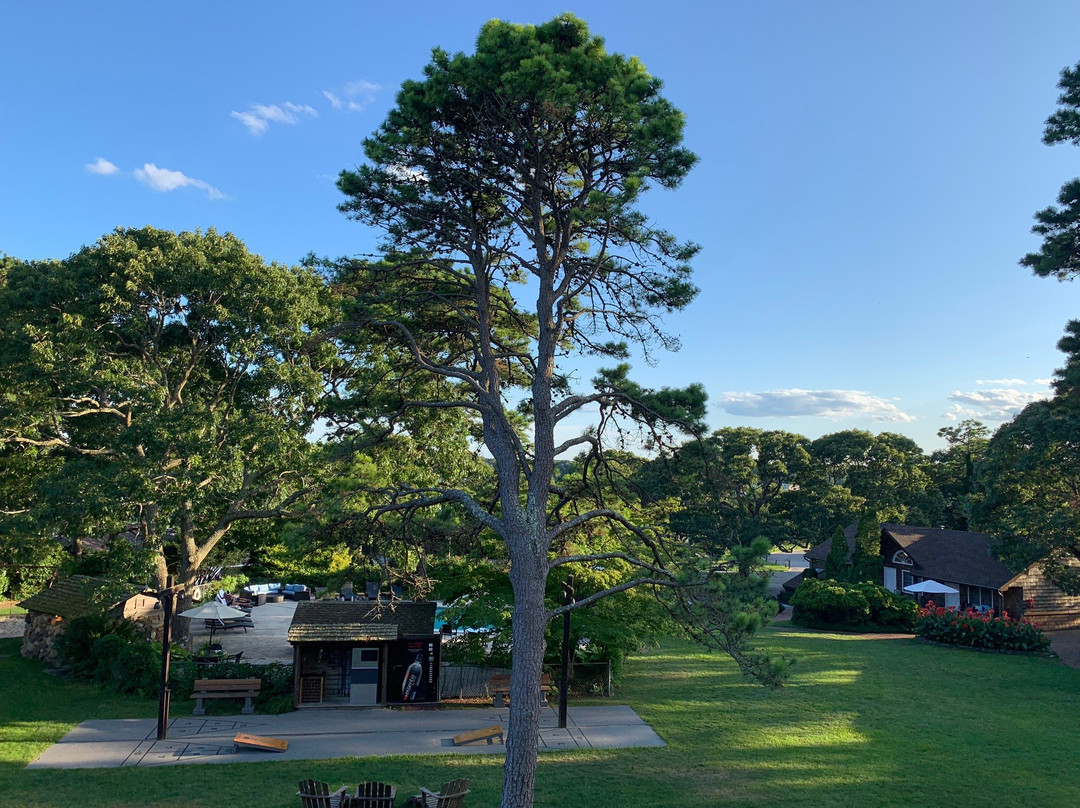 The Hampton Maid主图