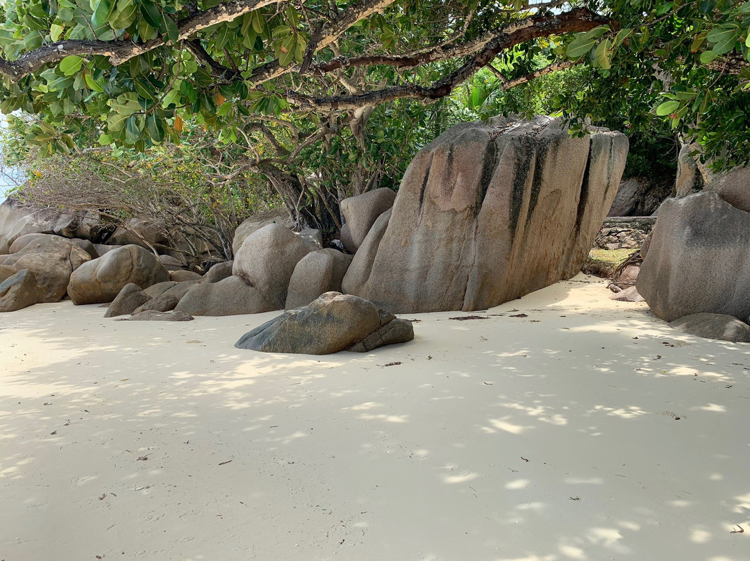 Anse Citron Beach景点图片
