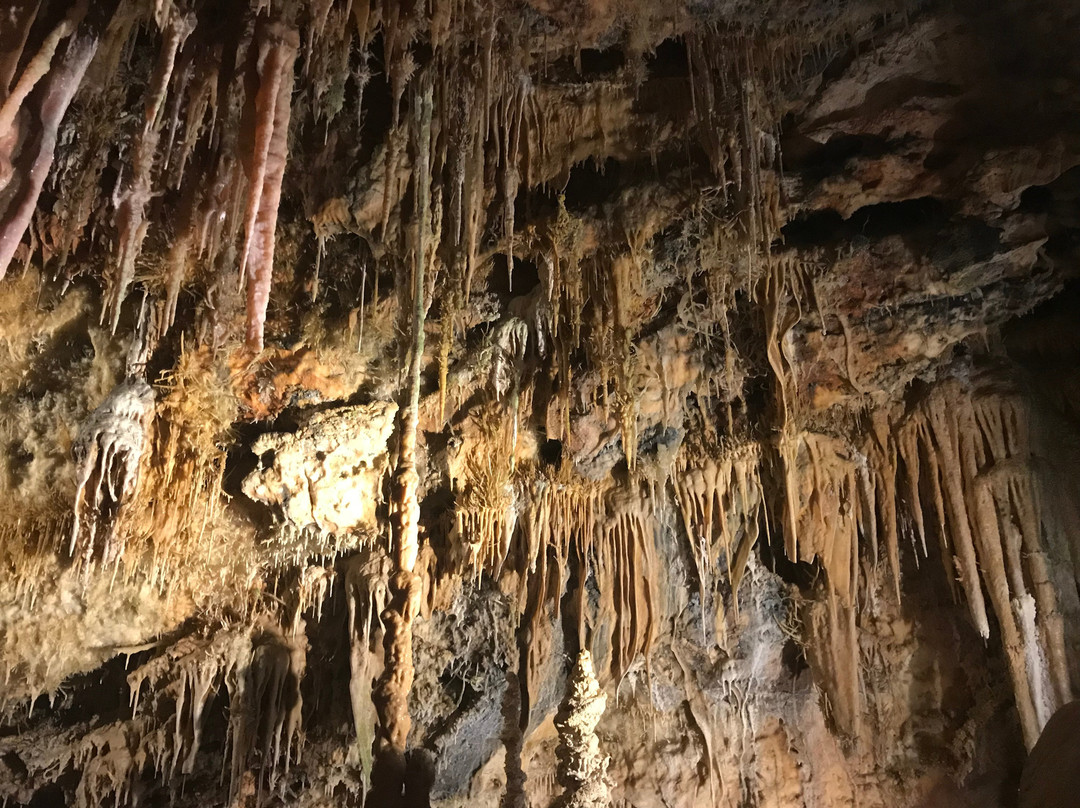 Grutas de Cristal景点图片