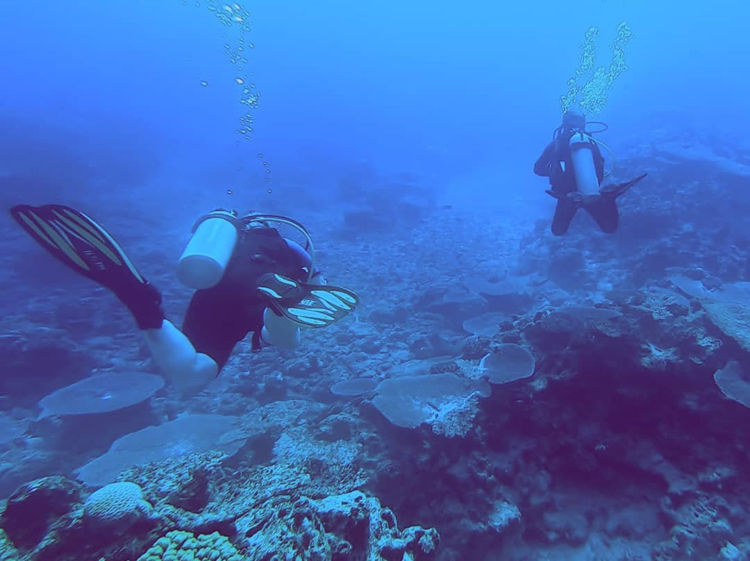 Magical Niue Sea Adventures-阿洛菲必去景点