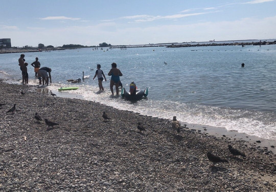 Bay Star Beach Restaurant & Beach-圣洛朗迪瓦尔必去景点