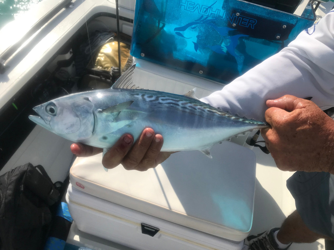 Jump Dem Bones Flyfishing-汉密尔顿必去景点