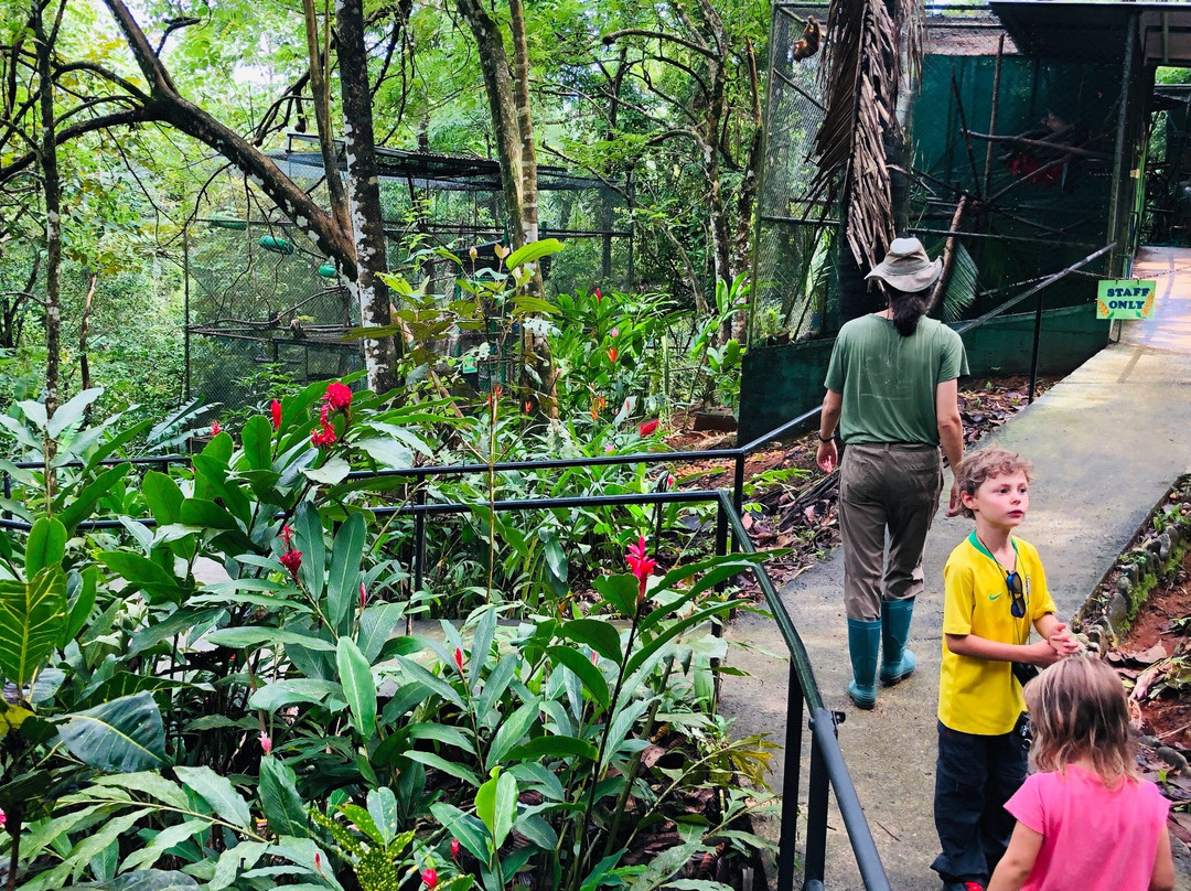 Blue Banyan Inn主图