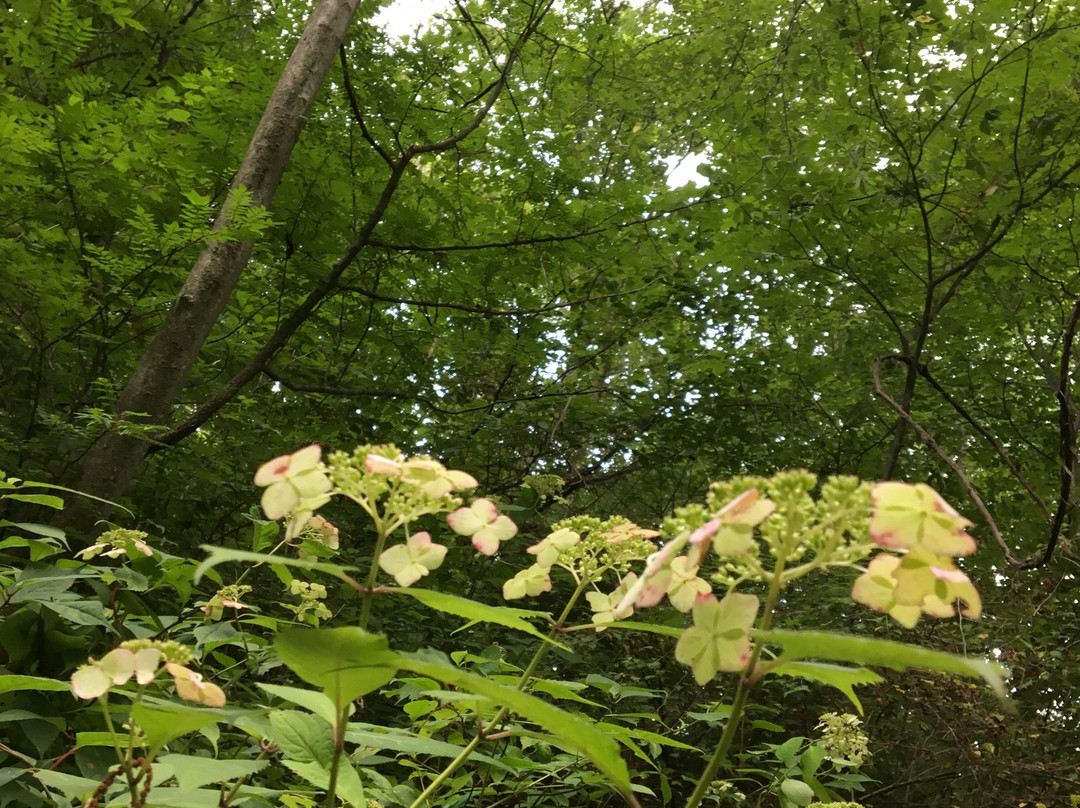 Sengataki-轻井泽町必去景点