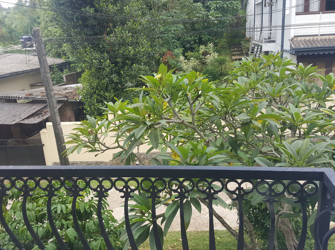 Hotel Capital O 249 Elephant Bath Hotel主图