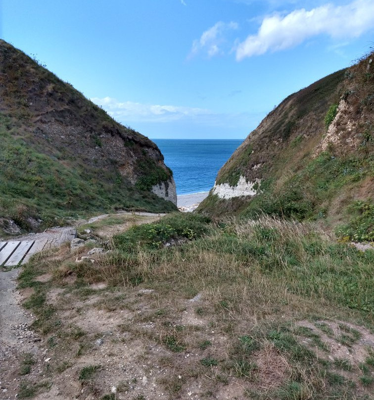 Plage Du Tilleul景点图片