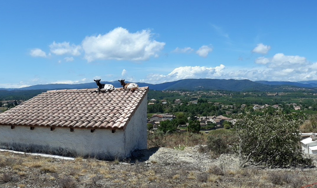 Auberge Le Romarin主图