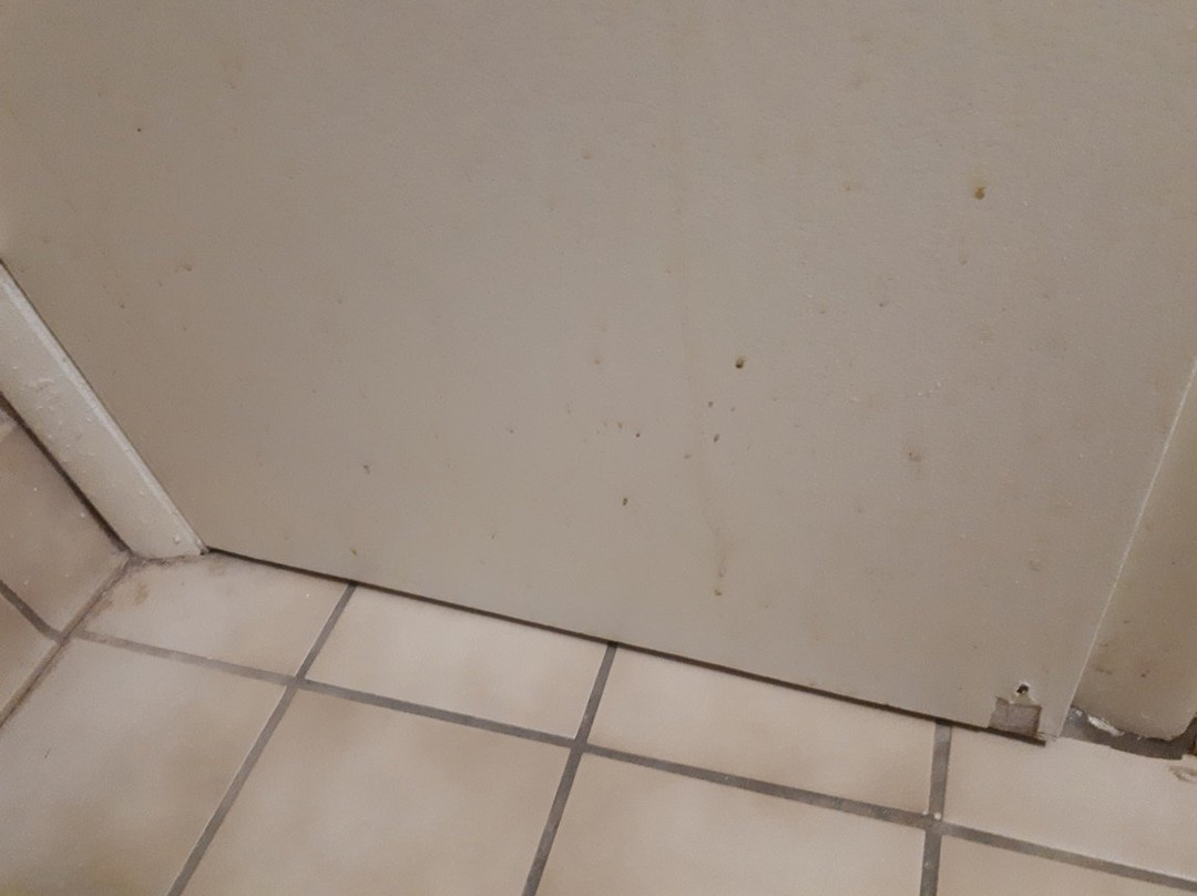 Red Roof Inn Savannah - Richmond Hill / I-95主图