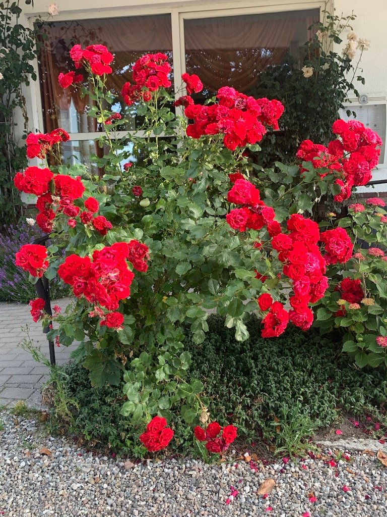 Hotel Steinberger-Hof-浴室