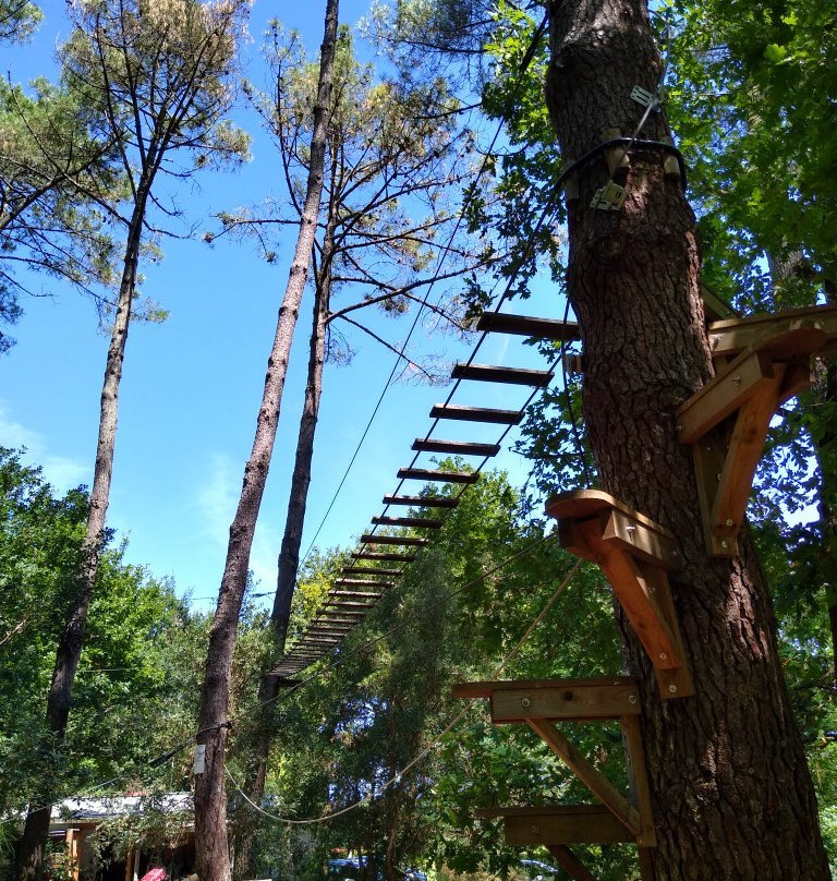 Landes Aventure景点图片