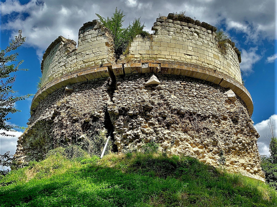 Chateau de Monthoiron景点图片