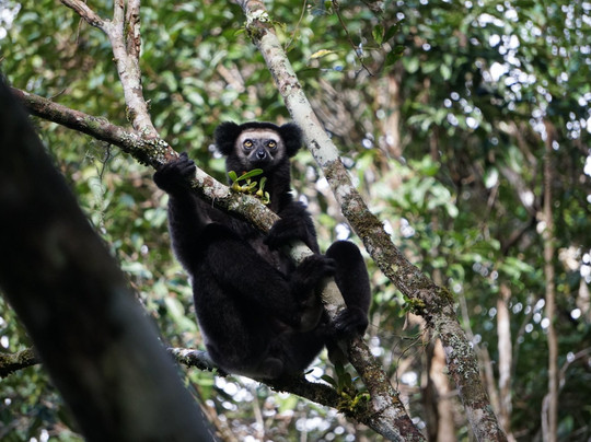 Nadège Rinot-桑巴瓦必去景点