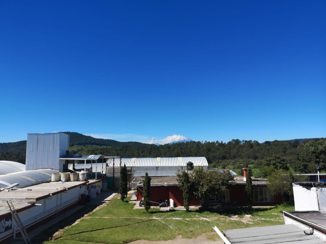 Rancho Magueyero San Isidro Ruta Del Pulque-Nanacamilpa必去景点
