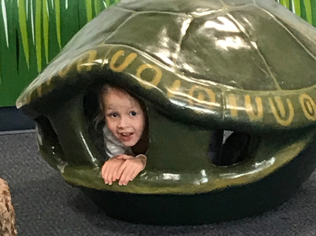 Discovery Center Museum-罗克福德必去景点