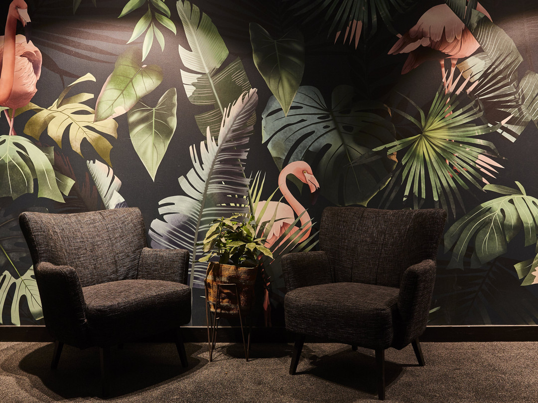 Hotel Indigo Antwerp - City Centre By IHG主图