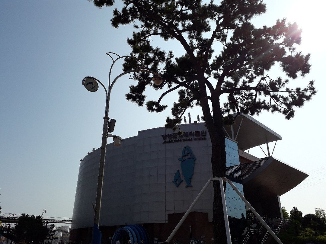 Jangsaengpo Special Whale Culture Zone-蔚山必去景点