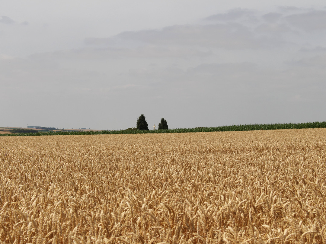 Fricourt New Military Cemetery景点图片
