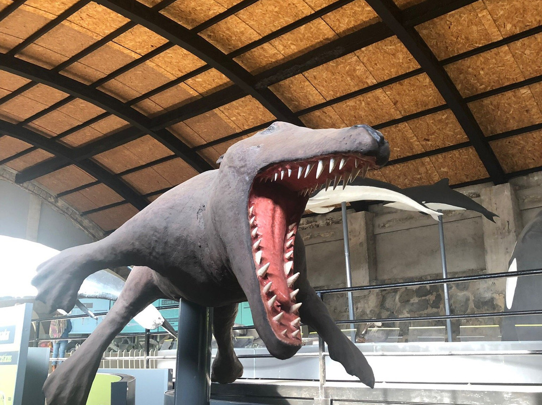 Ballenera Quintay-Quintay必去景点