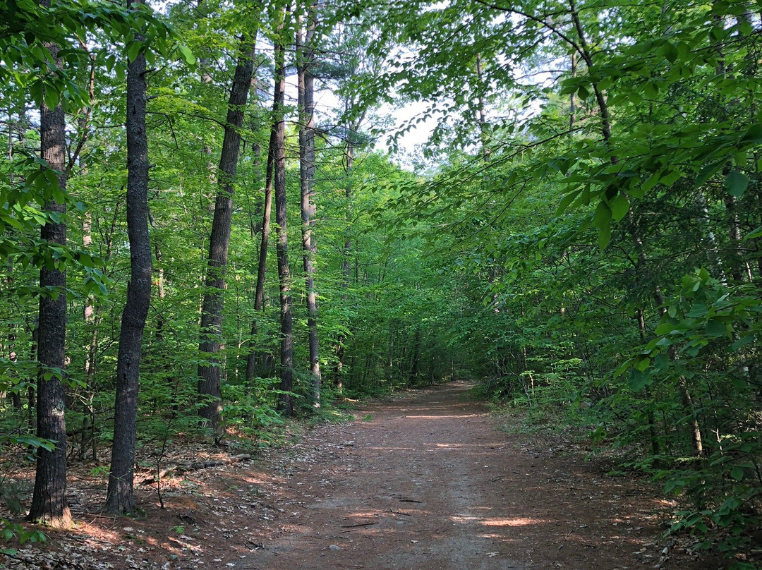 Massabesic Audubon Center景点图片