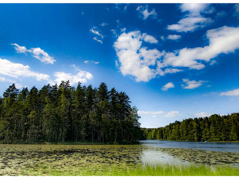 Lomi Nature Travels-赫尔辛基必去景点