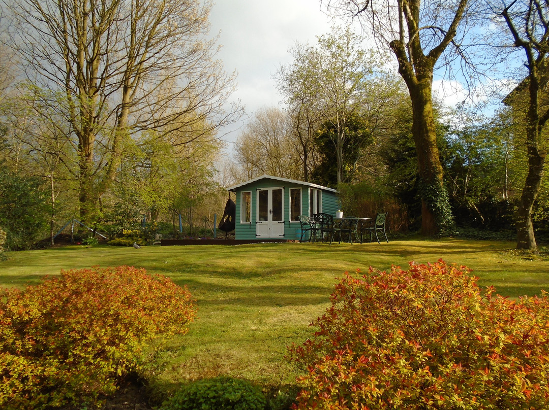 Birds Nest Cottage Guest House主图