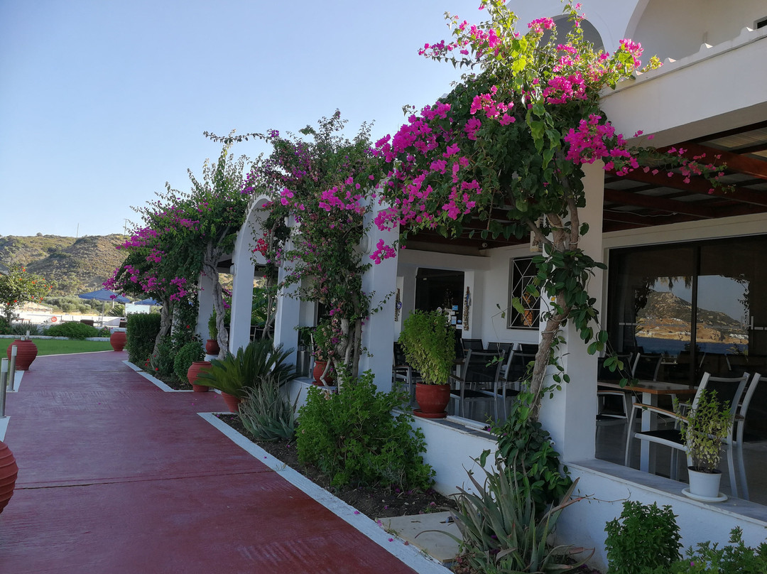 Mediterranean Hotel主图