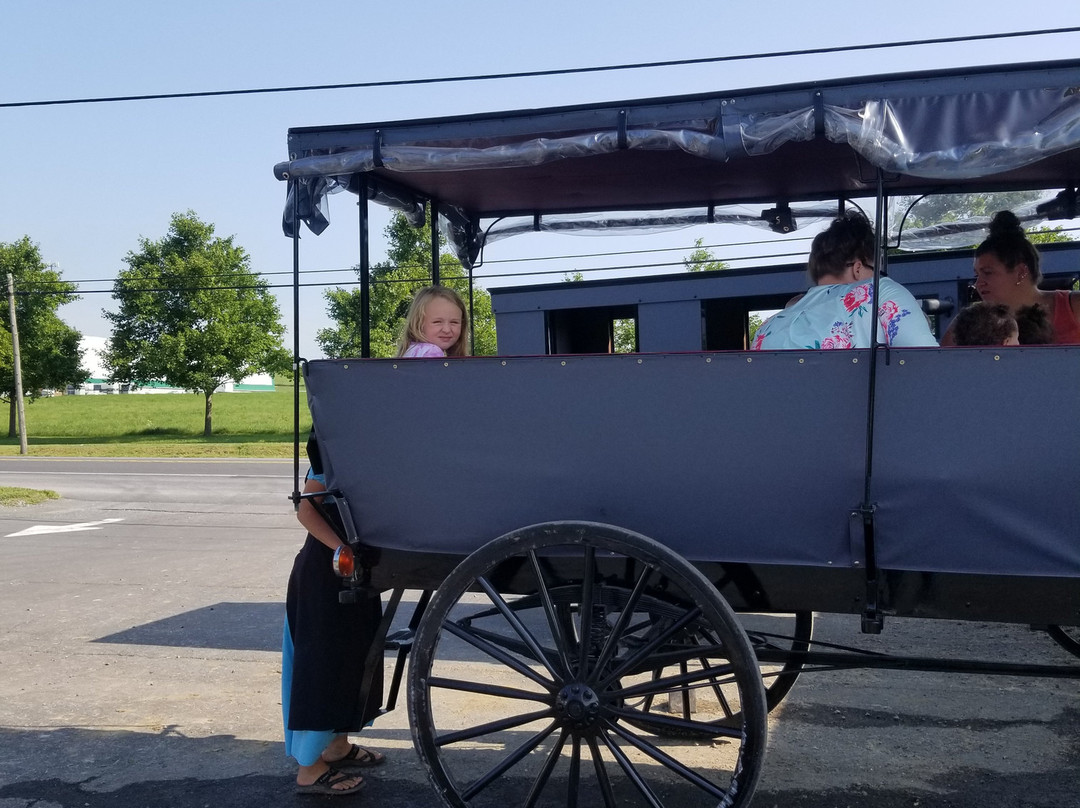 Amish Country Wagon Rides景点图片