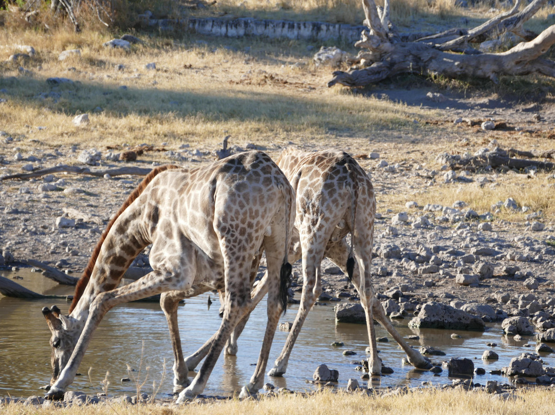 Anchor Adventures Namibia-温德和克必去景点
