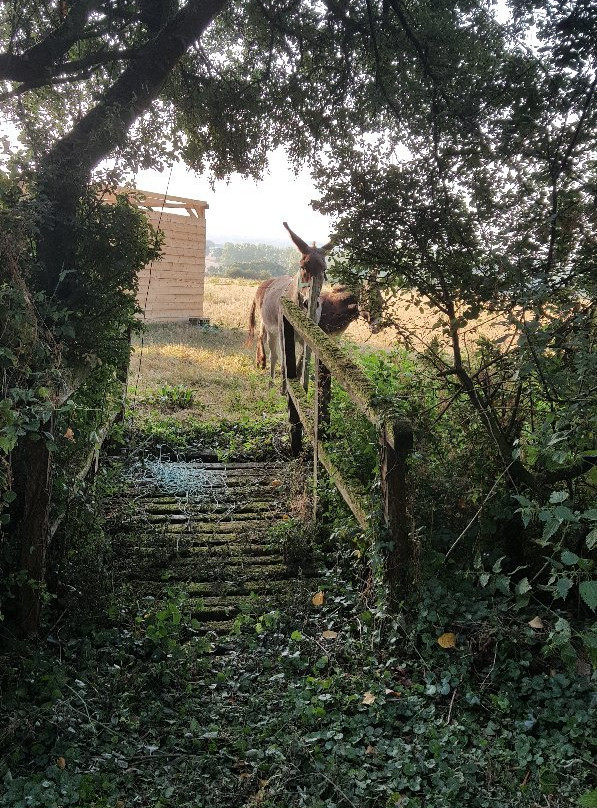 Manoir de la Villeneuve主图