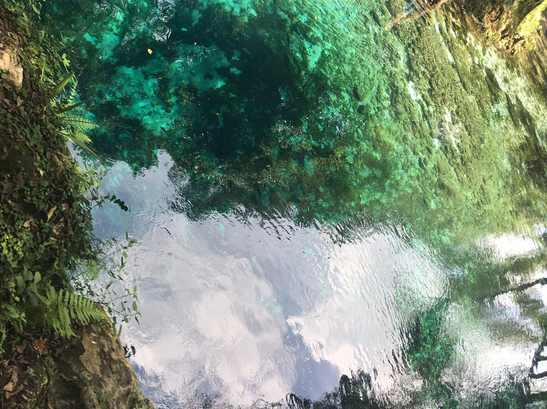 Madison Blue Springs State Park-Lee必去景点