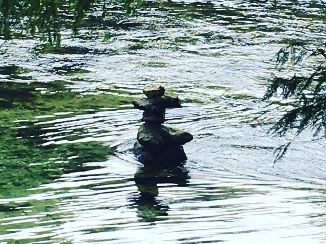 Madison Blue Springs State Park-Lee必去景点