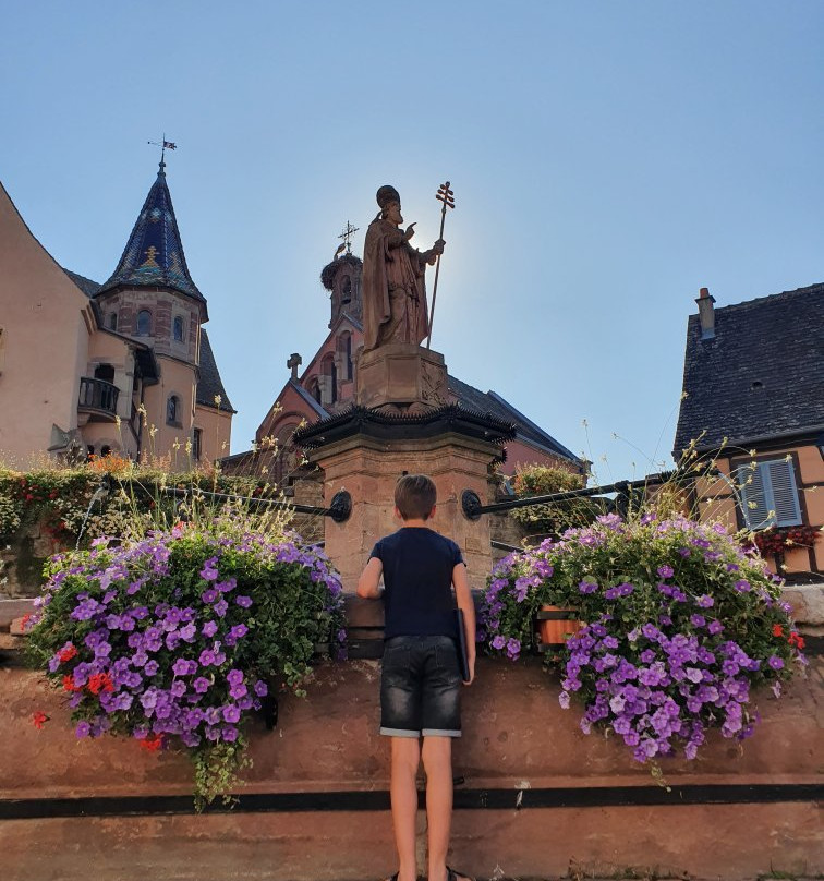 Le Hameau D'Eguisheim主图