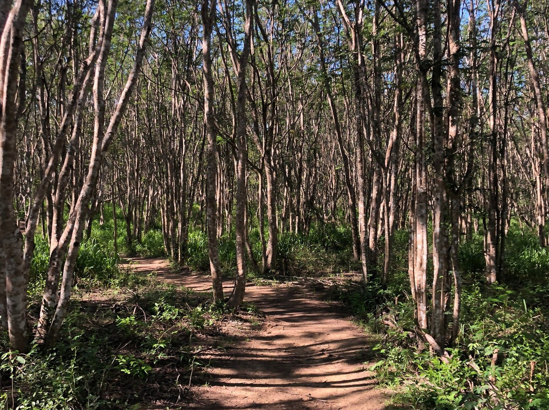 Guanaroca Lagoon景点图片