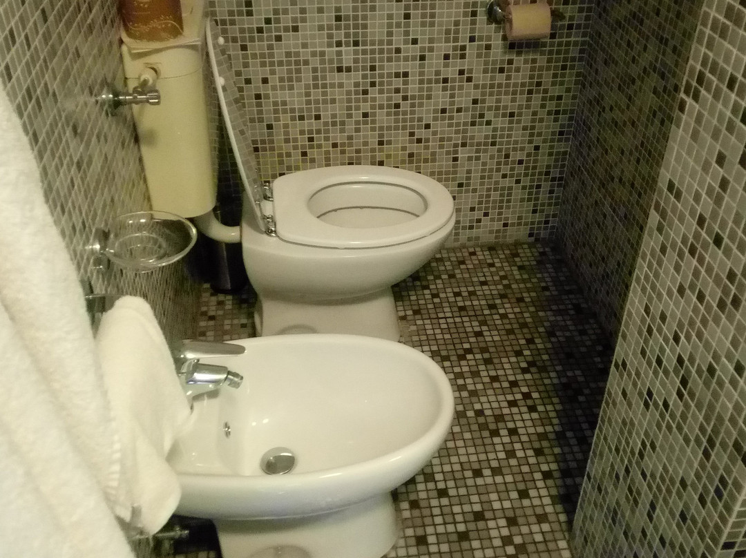 Best Western Park Hotel Continental主图